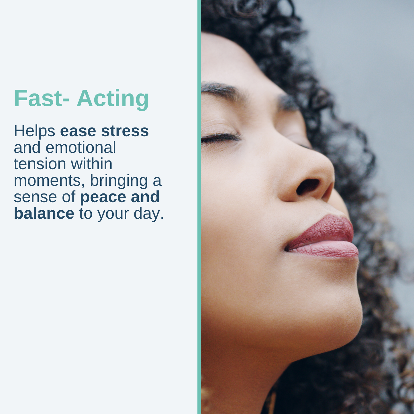 Conjunto Viva Sueño y Serenidad